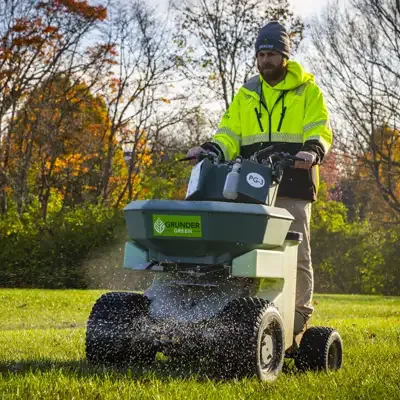 overseeding lawn