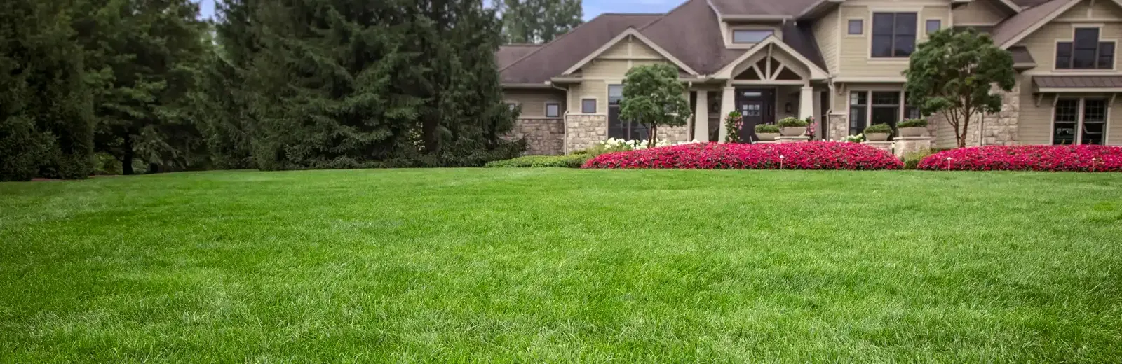 House with green healthy lawn