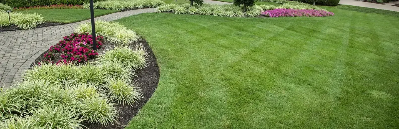 flower bed with mulch and shrubs