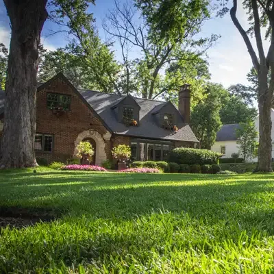 green healthy lawn