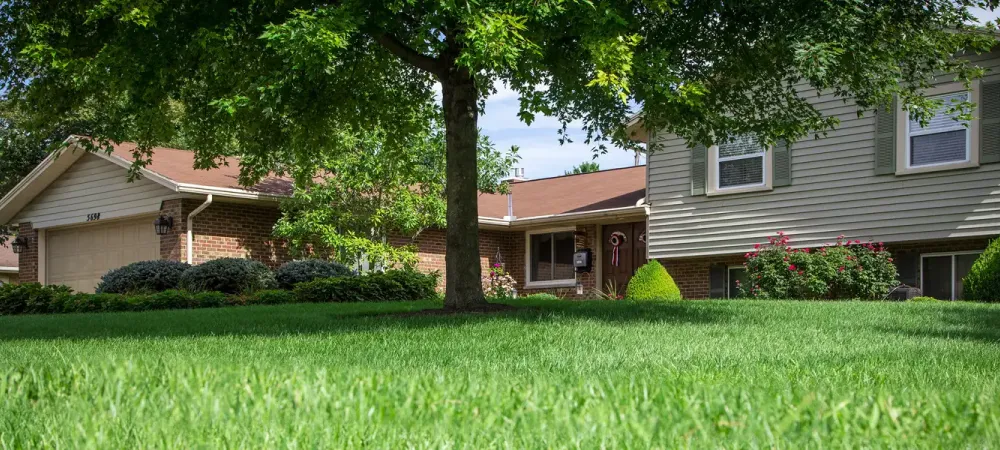 house with green healthy grass