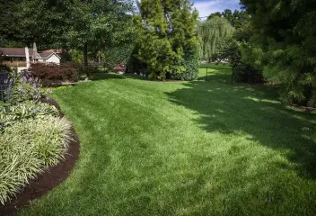 Green lawn with a mulch bed with ferns