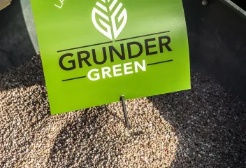 Grunder Green 49