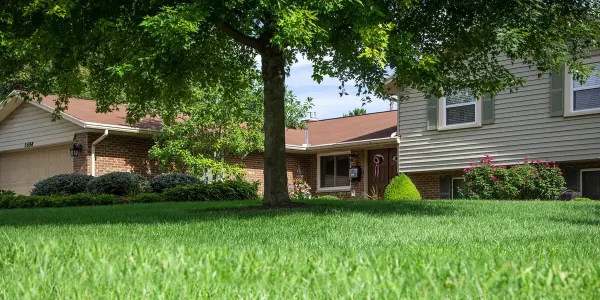 house with green healthy grass