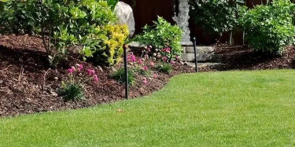 Essential Fall Fertilization Tips for Ohio Lawns