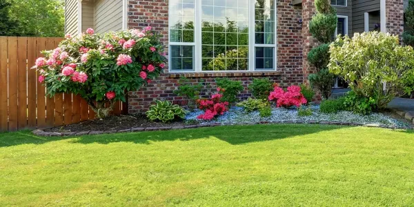 lawn